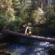 Illustration for article titled Photoshopping Calvin and Hobbes into Real Life Makes Me Really Happy